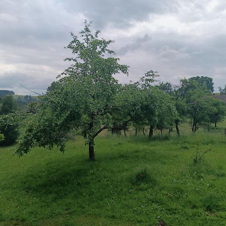 Chalupa U Kuby Vysoké nad Jizerou Exterior foto